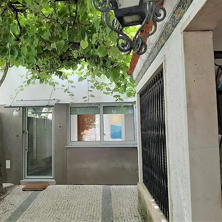 Casa Camelias Garden *