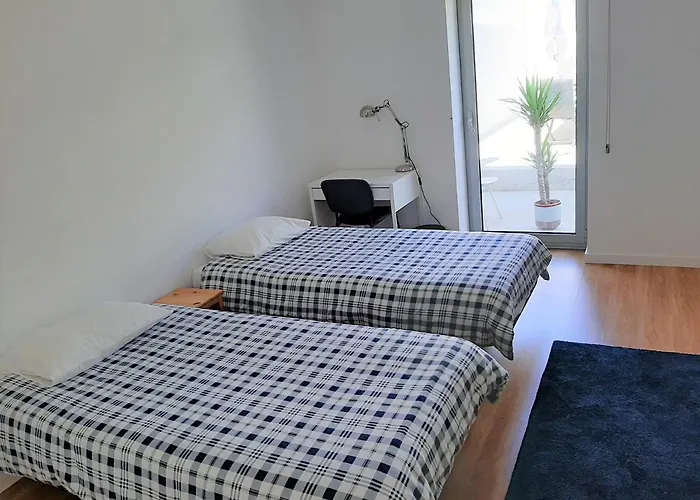 Casa Camelias Garden Aveiro