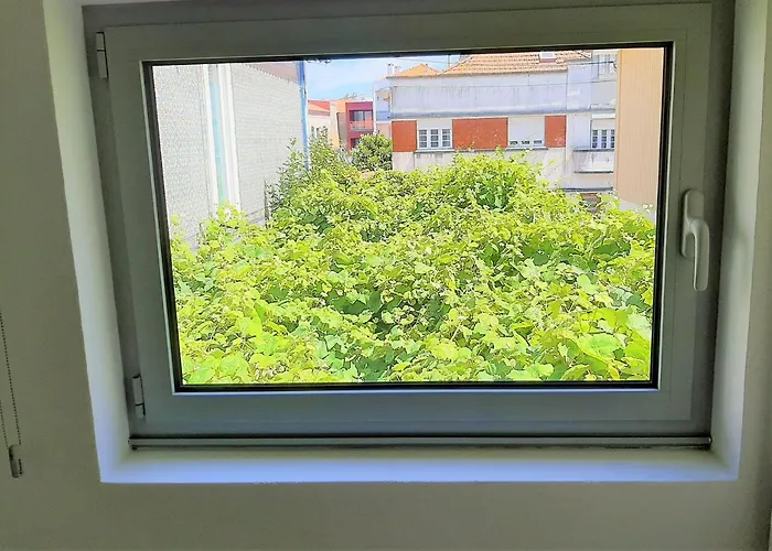 Casa Camelias Garden